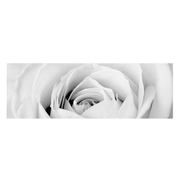 Leinwandbilder kaufen Close Up Rose