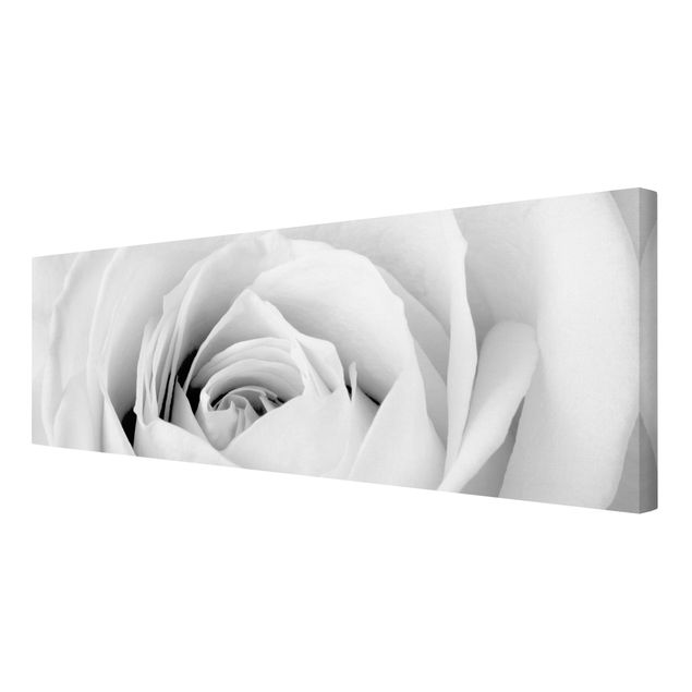 Leinwandbild Schwarz-Weiß - Close Up Rose - Panoramabild Quer