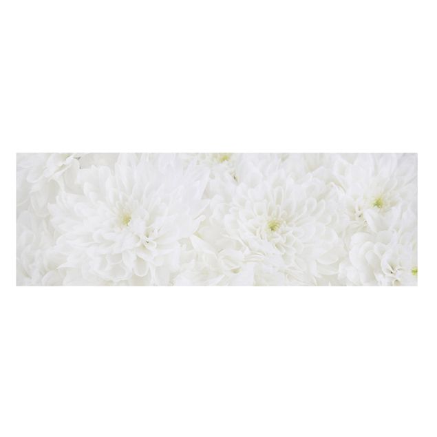 Leinwandbild - Dahlien Blumenmeer weiß - Panorama Quer