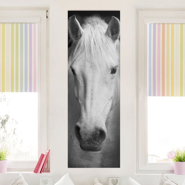Leinwandbilder schwarz-weiß Dream of a Horse