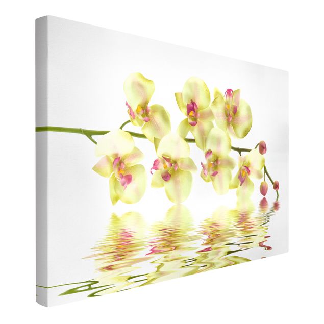 schöne Leinwandbilder Dreamy Orchid Waters