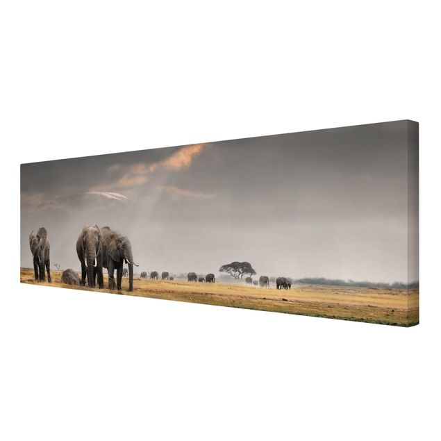 schöne Leinwandbilder Elefanten der Savanne