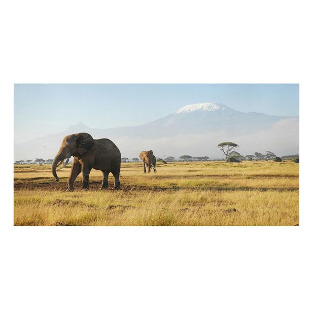 schöne Leinwandbilder Elefanten vor dem Kilimanjaro in Kenya