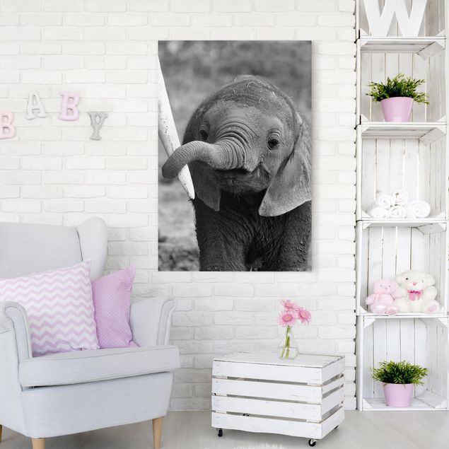 schöne Bilder Elefantenbaby
