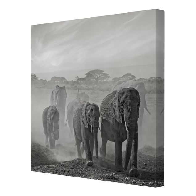 Leinwandbild - Elefantenherde - Quadrat 1:1