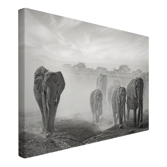 Wandbilder Elefantenherde