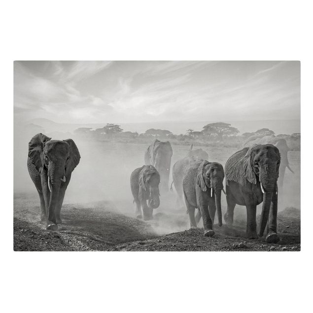 Leinwandbilder kaufen Elefantenherde
