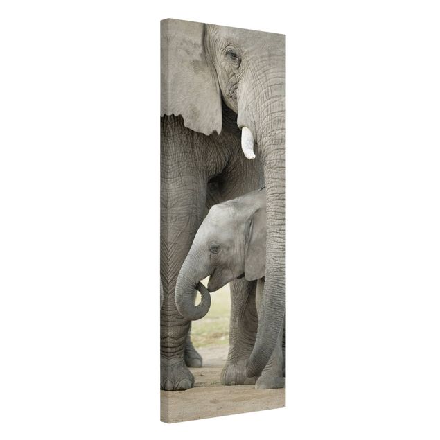 Leinwandbilder kaufen Elefantenliebe