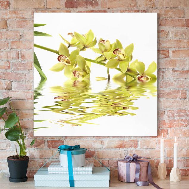 Leinwandbild Orchidee Elegant Orchid Waters