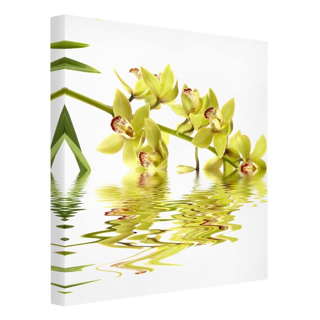 Leinwandbilder Elegant Orchid Waters