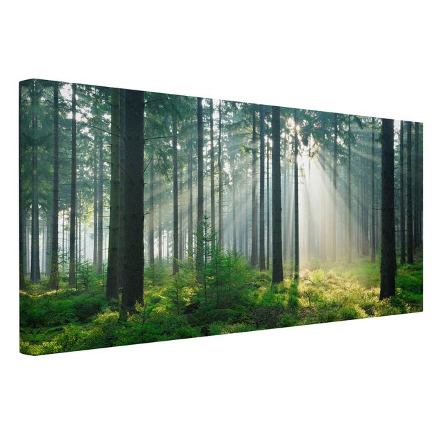 schöne Leinwandbilder Enlightened Forest