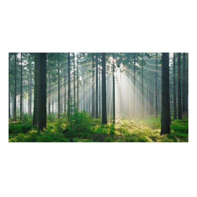 Leinwandbild - Enlightened Forest - Quer 2:1