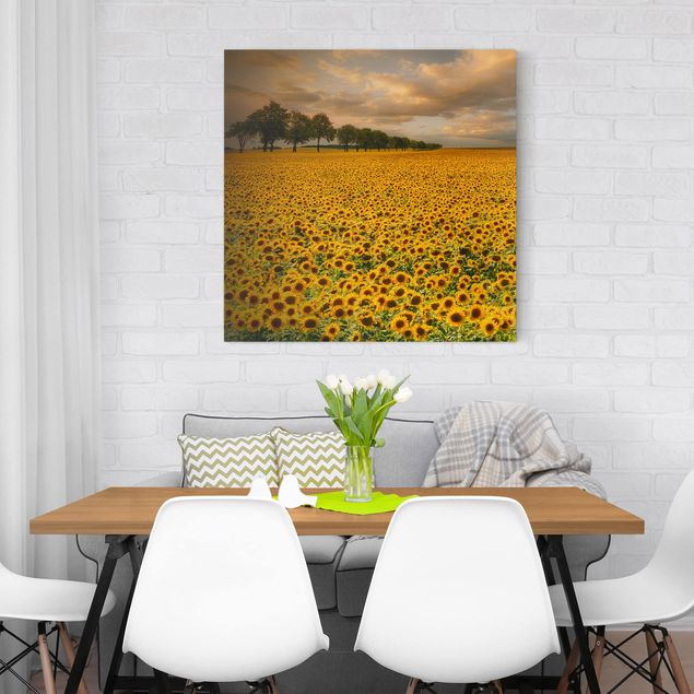 Blumenbilder auf Leinwand Feld mit Sonnenblumen