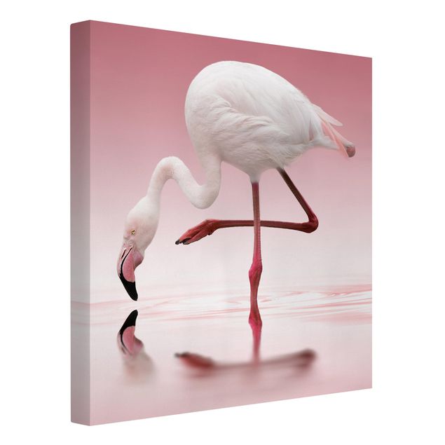 schöne Leinwandbilder Flamingo Dance