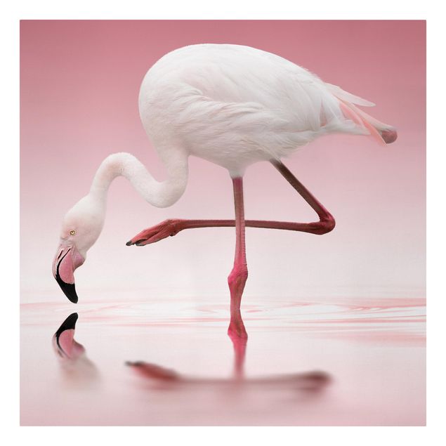 Leinwandbild - Flamingo Dance - Quadrat 1:1