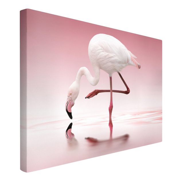 schöne Leinwandbilder Flamingo Dance