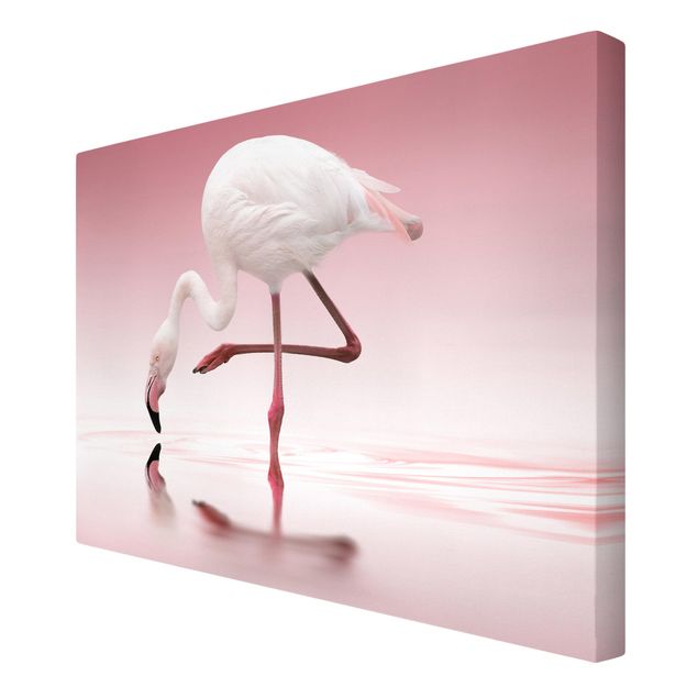 Leinwandbild - Flamingo Dance - Quer 3:2