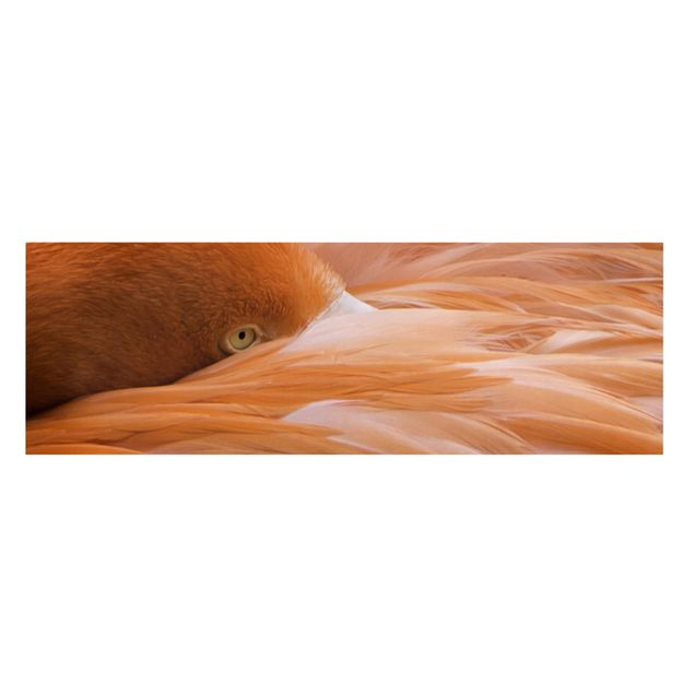 Leinwandbild - Flamingofedern - Panorama Quer