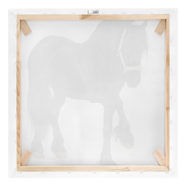 Pferde Leinwandbild Schwarz-Weiß - Friesenstute - Quadrat 1:1
