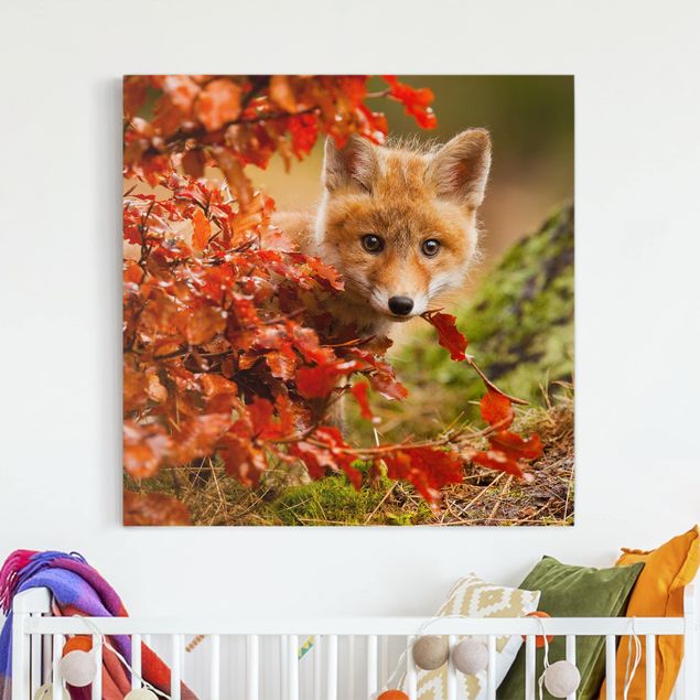 Leinwand Natur Fuchs im Herbst