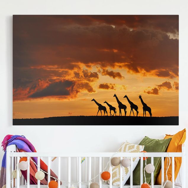 Leinwandbild Afrika Fünf Giraffen