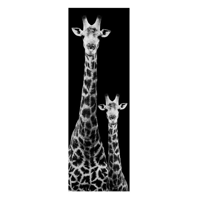 Bilder Giraffen Duo schwarz-weiß