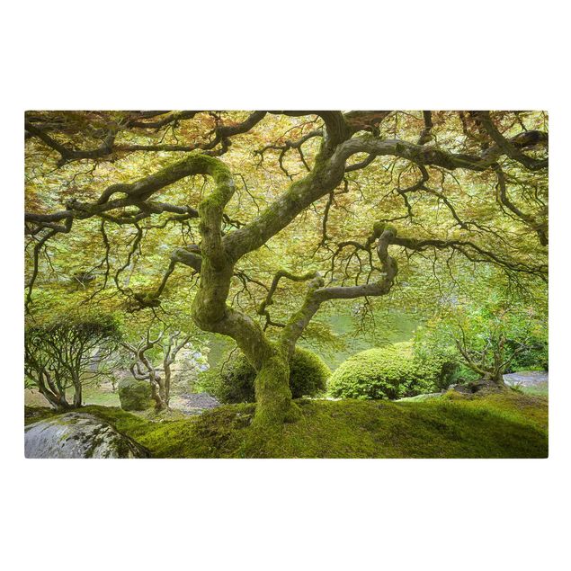 Leinwandbilder kaufen Grüner Japanischer Garten
