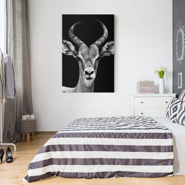 Leinwand Tiere Impala Antilope schwarz-weiß