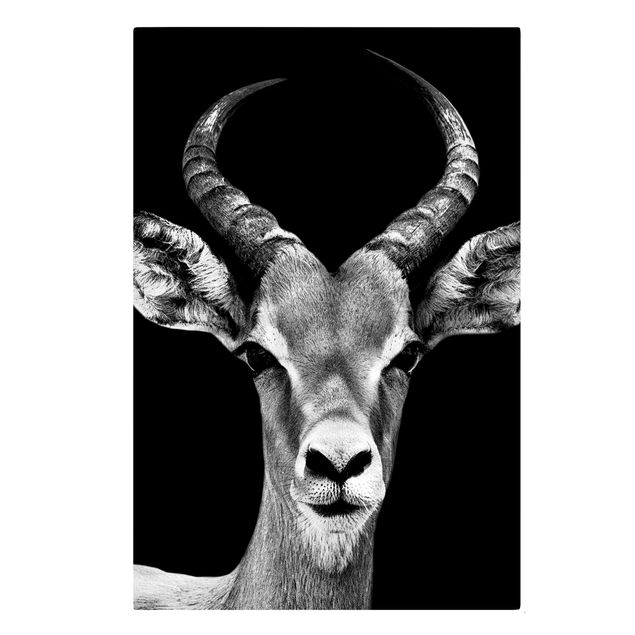 Leinwandbild - Impala Antilope schwarz-weiß - Hoch 2:3