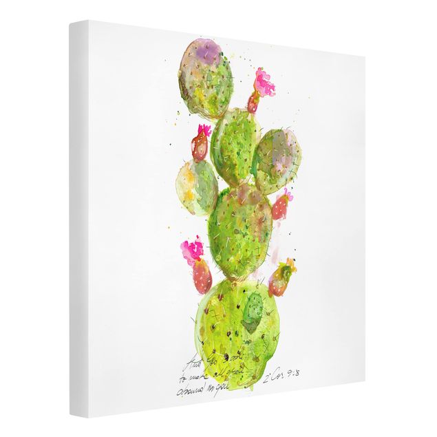 Bilder Kaktus mit Bibelvers III