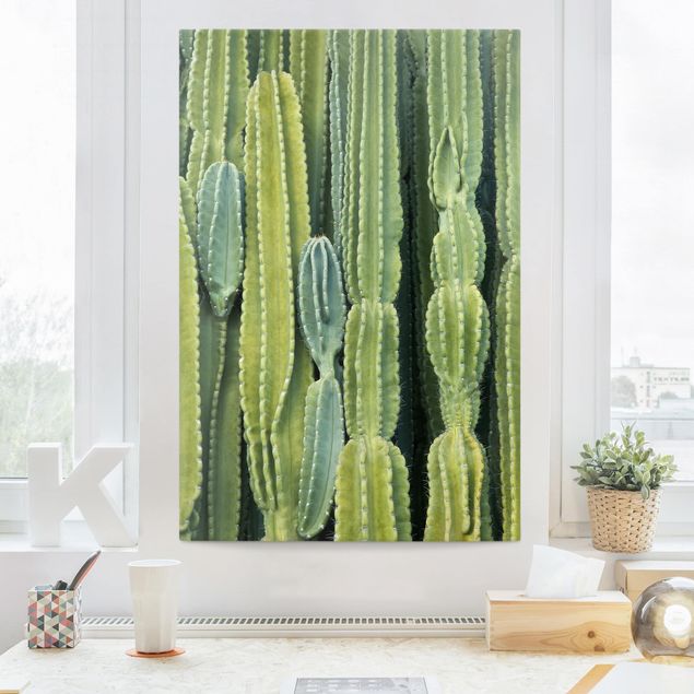 Leinwand Blumen Kaktus Wand