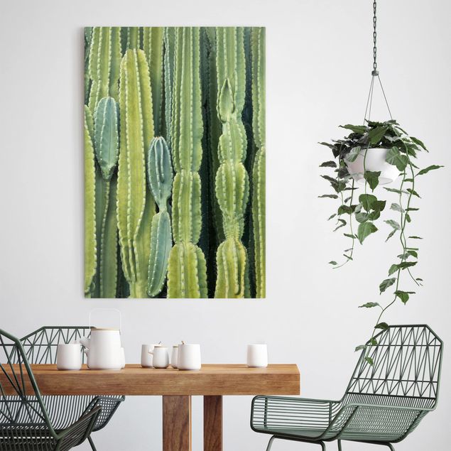 Wandbilder Kaktus Wand