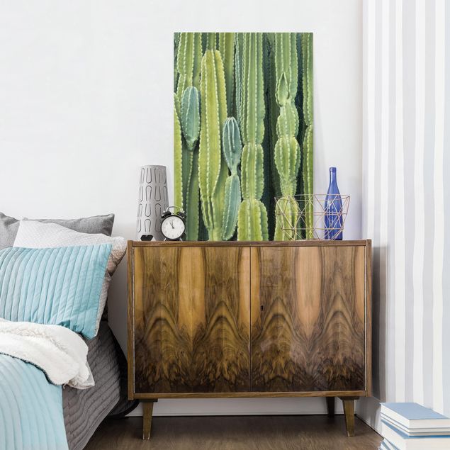 Leinwandbilder kaufen Kaktus Wand