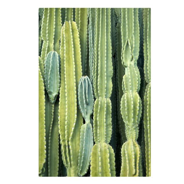 Leinwandbild - Kaktus Wand - Hochformat 2:3