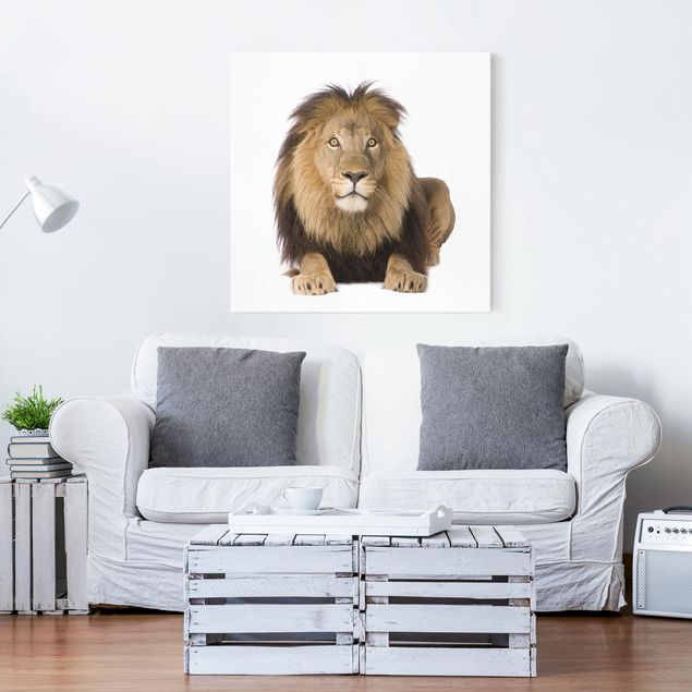 Tierbilder Leinwand König Löwe II