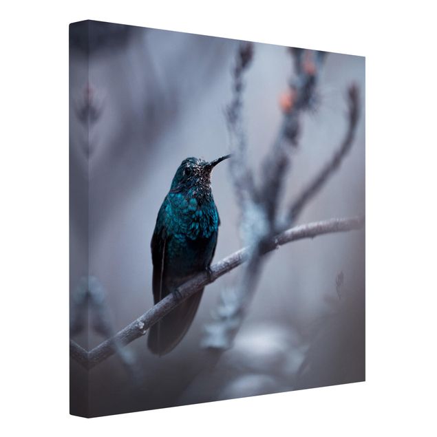schöne Leinwandbilder Kolibri im Winter