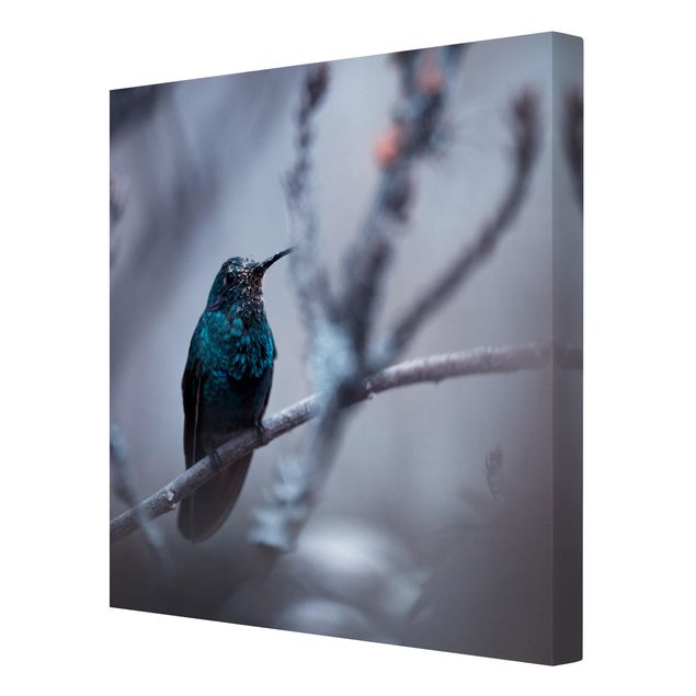 Leinwandbild - Kolibri im Winter - Quadrat 1:1