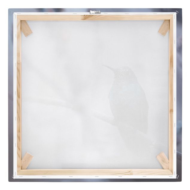 Leinwandbild - Kolibri im Winter - Quadrat 1:1