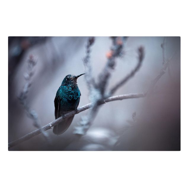 Leinwandbild - Kolibri im Winter - Quer 3:2