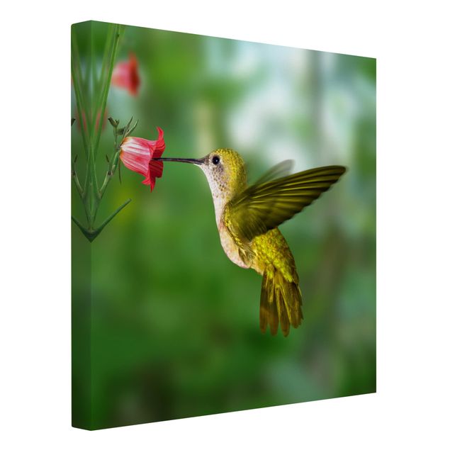schöne Leinwandbilder Kolibri und Blüte