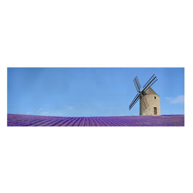 Leinwandbild - Lavendelduft in der Provence - Panorama Quer