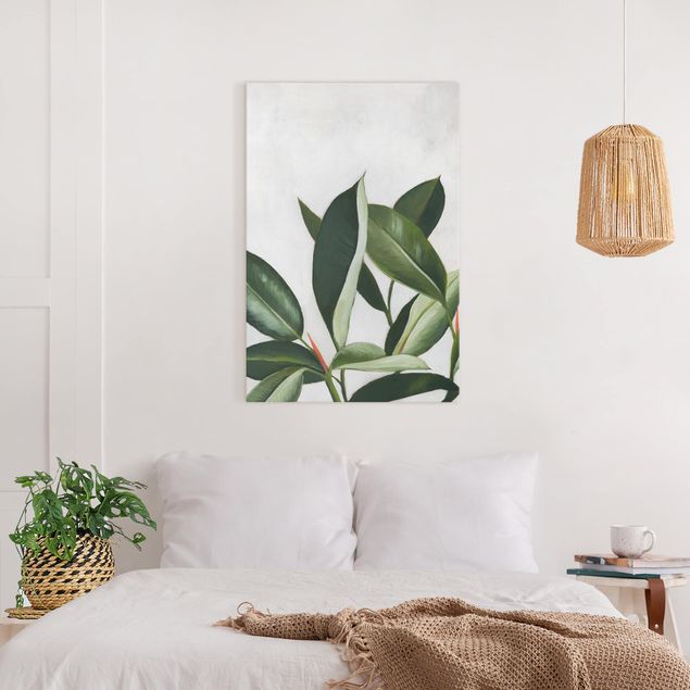 Wandbilder Lieblingspflanzen - Gummibaum