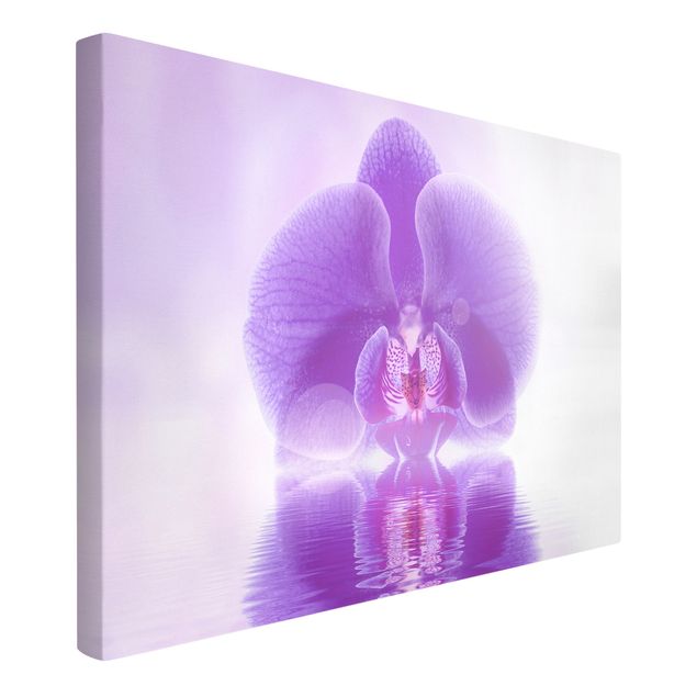 Leinwandbilder Lila Orchidee auf Wasser