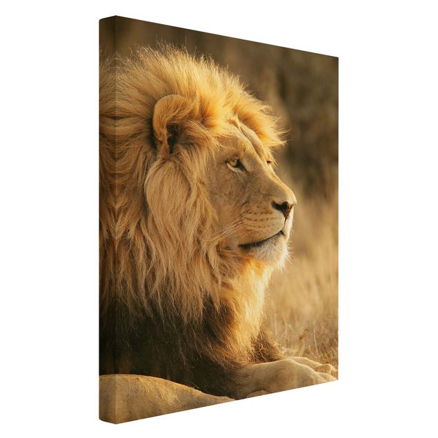 schöne Leinwandbilder Löwenkönig