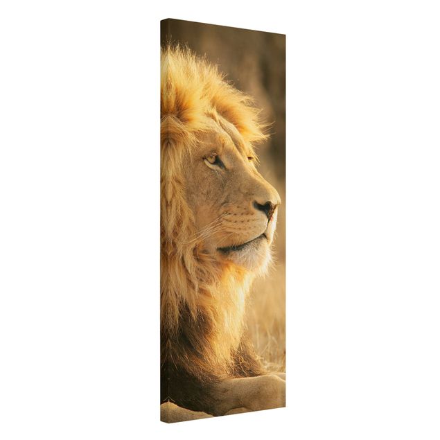 Leinwandbilder kaufen Löwenkönig
