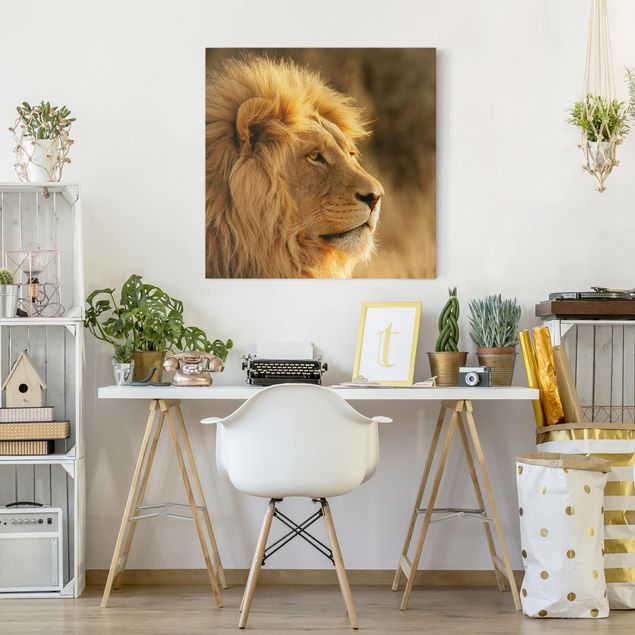 schöne Bilder Löwenkönig