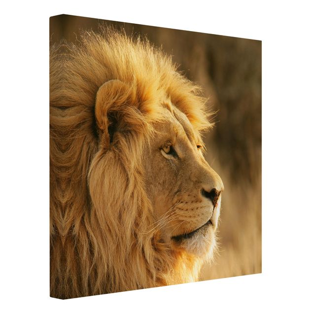 schöne Leinwandbilder Löwenkönig