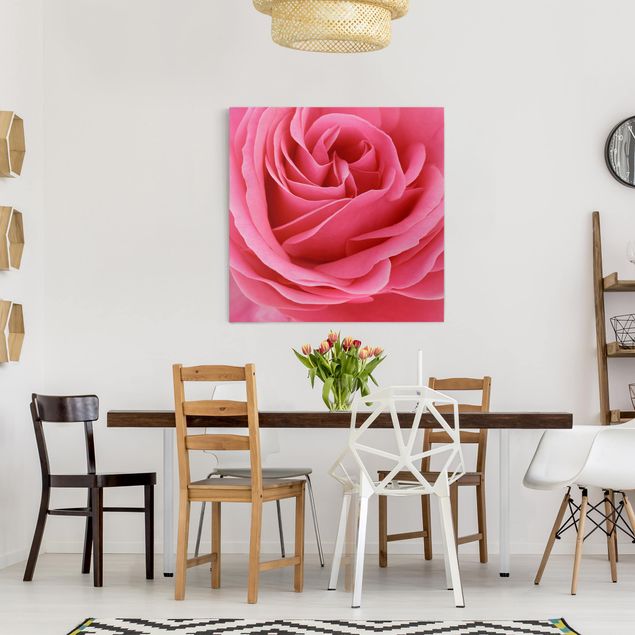 Bilder Lustful Pink Rose
