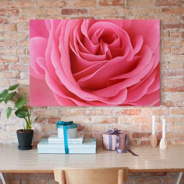 Leinwand Blumen Lustful Pink Rose