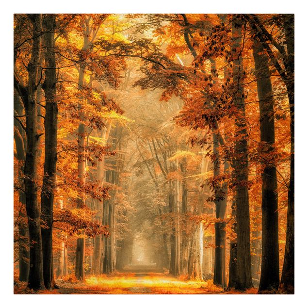 Leinwandbild - Märchenwald im Herbst - Quadrat 1:1